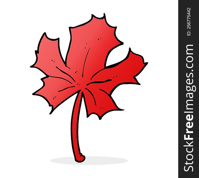 cartoon red maple leaf