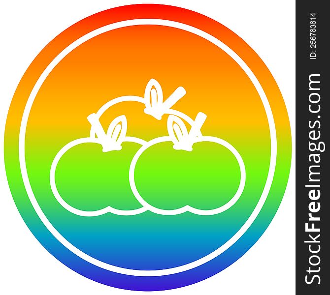 Pile Of Apples Circular In Rainbow Spectrum