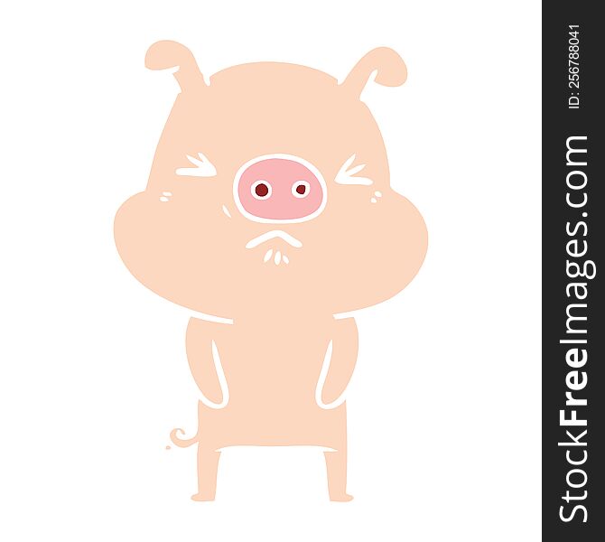 Flat Color Style Cartoon Grumpy Pig