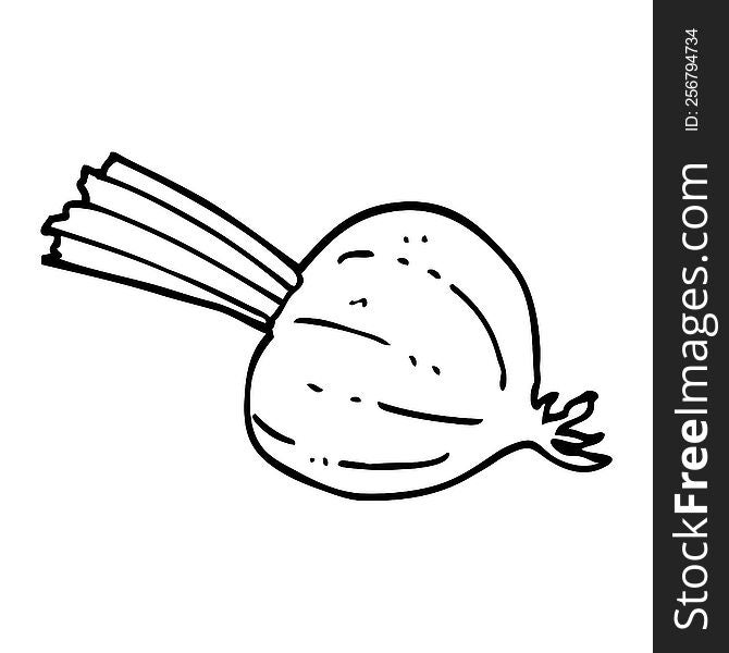 line drawing cartoon fresh beet