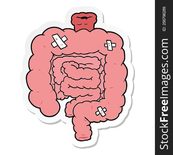 sticker of a cartoon repaired intestines