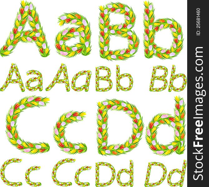 Font type letters A, B, C, D made from flower tulip with a different typeface: italic, bold, regular. Font type letters A, B, C, D made from flower tulip with a different typeface: italic, bold, regular