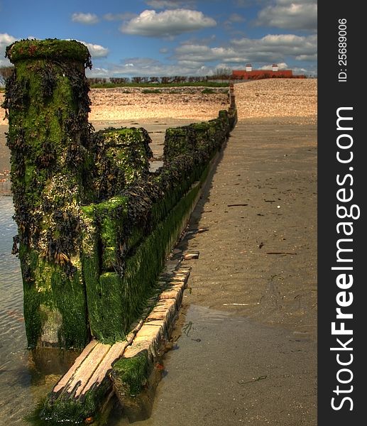 Seaweed covered beach breakwater beach groyn