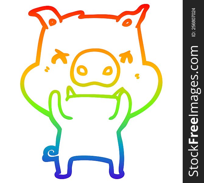 Rainbow Gradient Line Drawing Angry Cartoon Pig