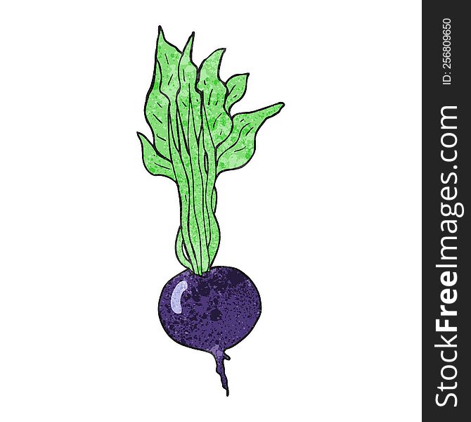 textured cartoon beetroot