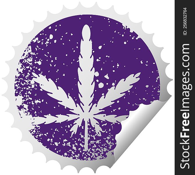 distressed circular peeling sticker quirky symbol marijuana. distressed circular peeling sticker quirky symbol marijuana