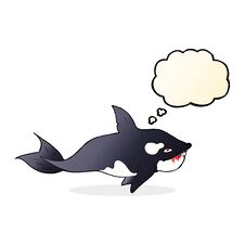 Cartoon Killer Whale With Thought Bubble Stock Photography