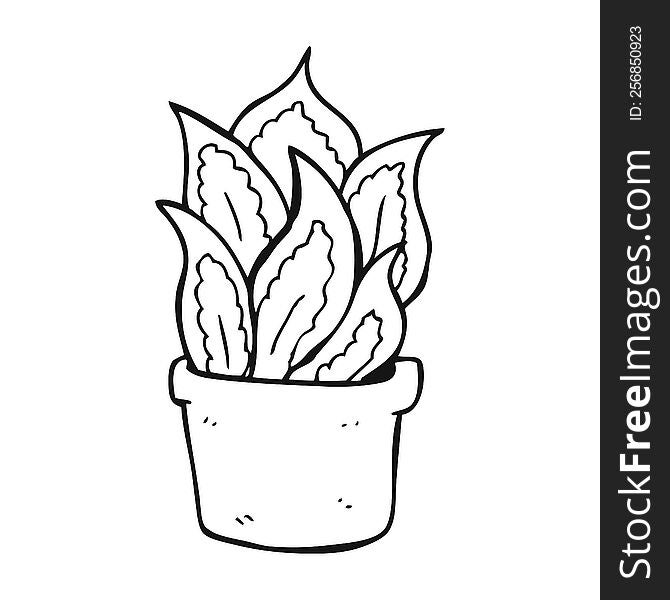 freehand drawn black and white cartoon house plant