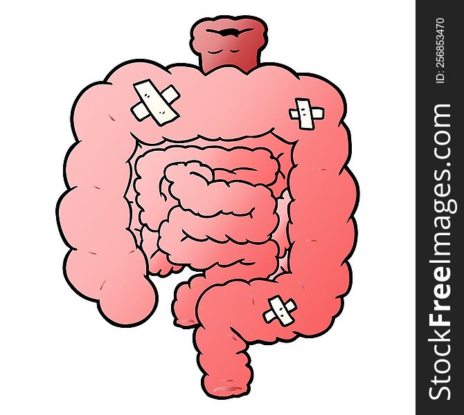 cartoon repaired intestines. cartoon repaired intestines