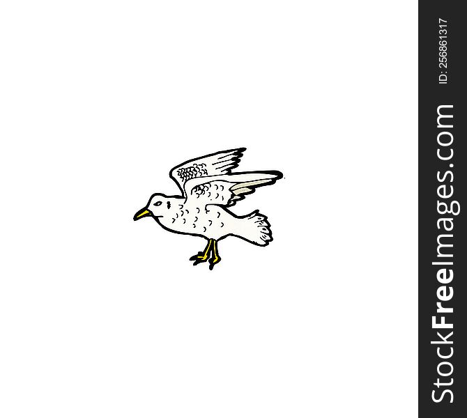 Seagull Illustration