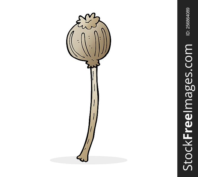 cartoon dried poppy