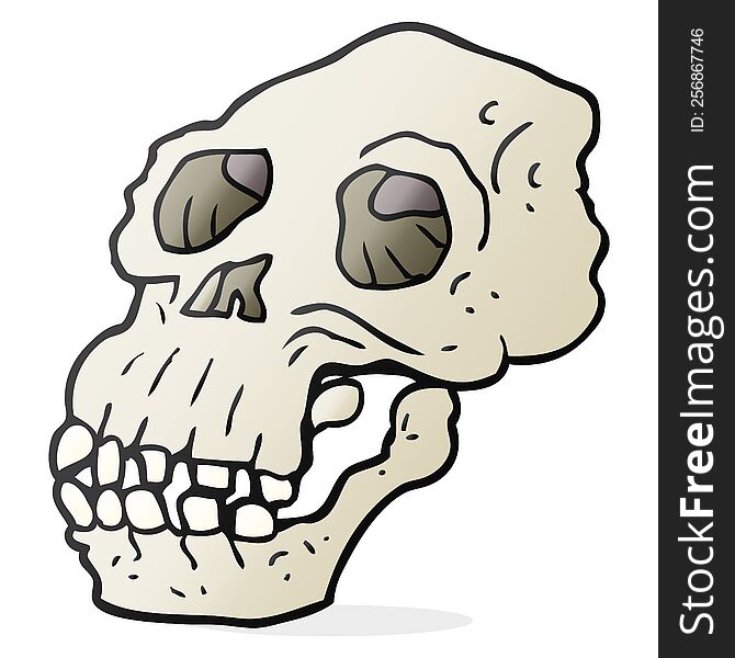 Cartoon Ancient Skull