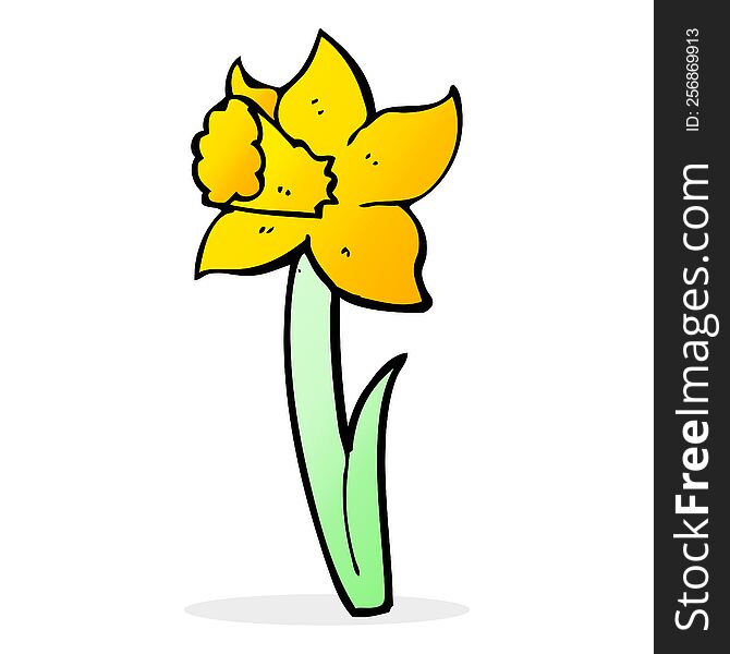 cartoon daffodil