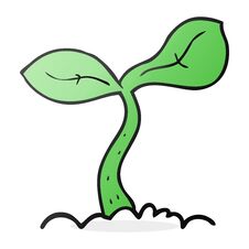 Free Cartoon Seedling Growing Royalty Free Stock Photography - 256878527