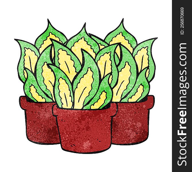 freehand drawn texture cartoon house plants