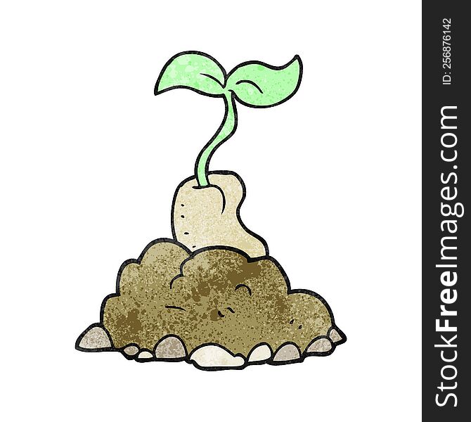Texture Cartoon Sprouting Seed