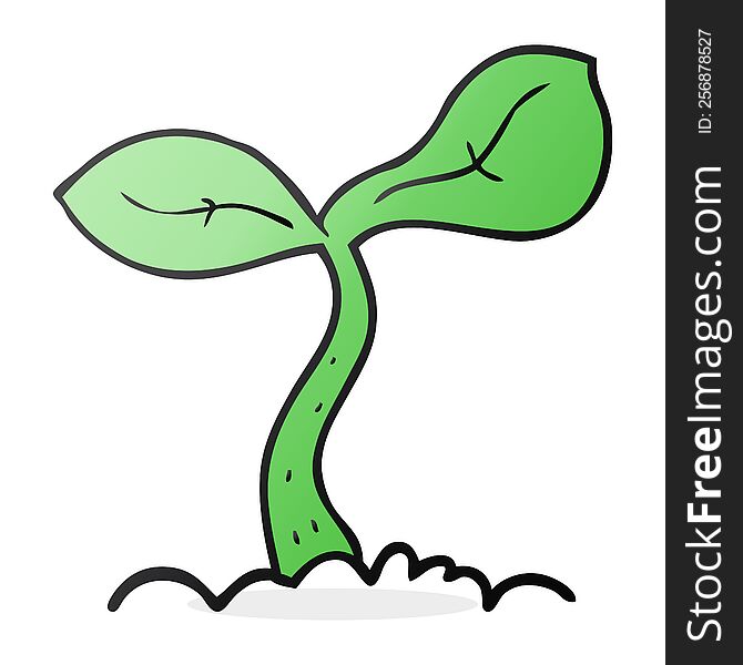 cartoon seedling growing