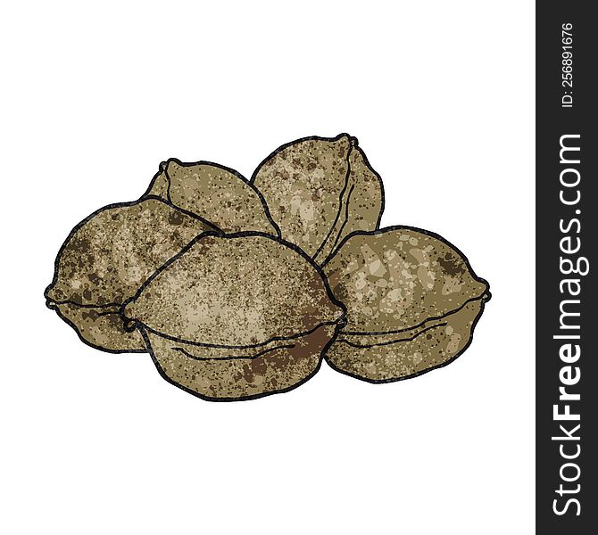 freehand drawn texture cartoon walnuts in shell