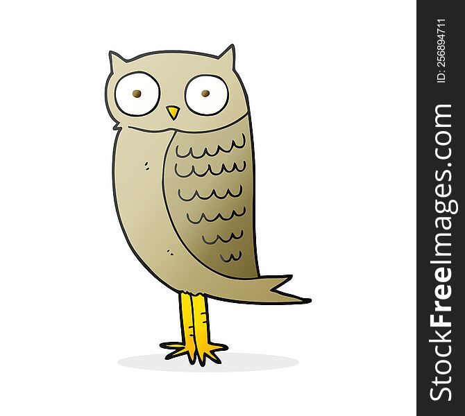 Cartoon Owl