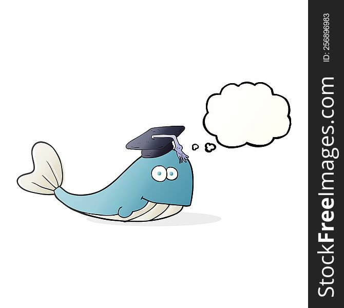 freehand drawn thought bubble cartoon whale graduate