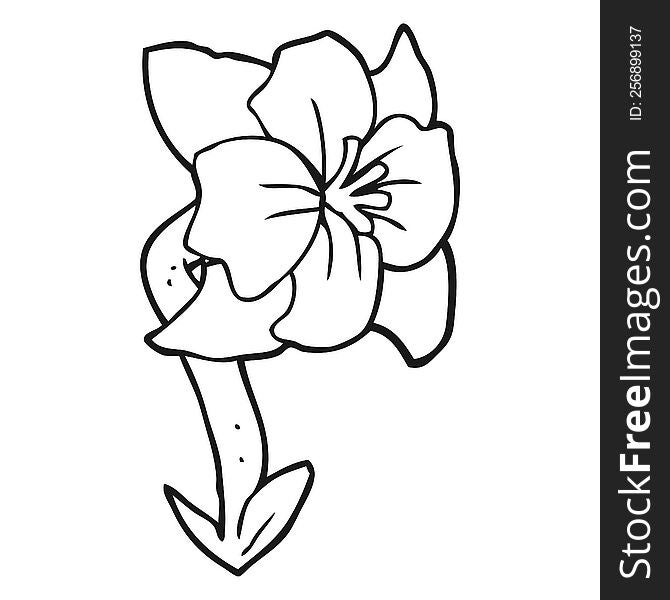 freehand drawn black and white cartoon flower