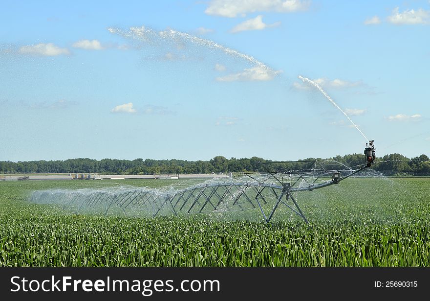 Irrigation system watering a corn farm field. Irrigation system watering a corn farm field