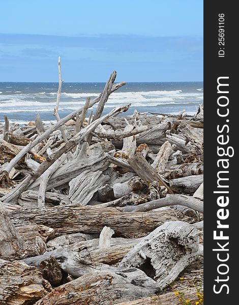 Pile of driftwood on beach with ocean surf in background. Pile of driftwood on beach with ocean surf in background