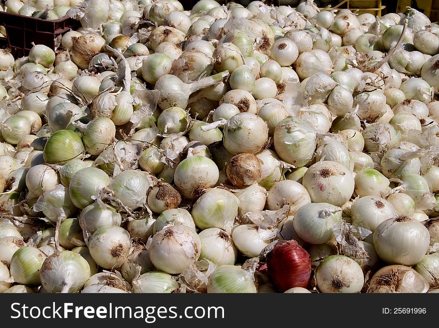 Onions in large quantity on the market