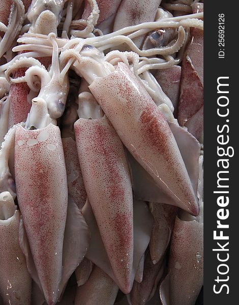 Shrimps on the market, also known as cephalopod, cuttlefish, mollusk or octopus. Shrimps on the market, also known as cephalopod, cuttlefish, mollusk or octopus