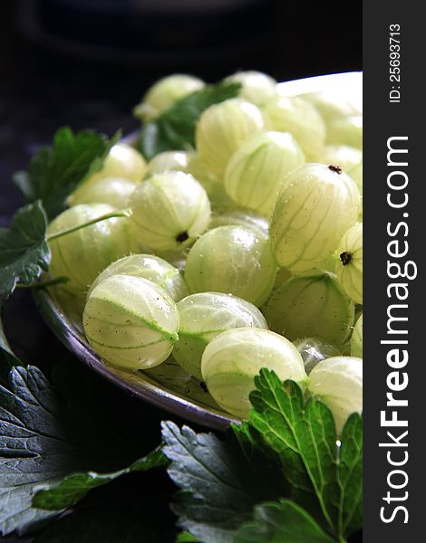 Image of gooseberry's in the sun light. Image of gooseberry's in the sun light
