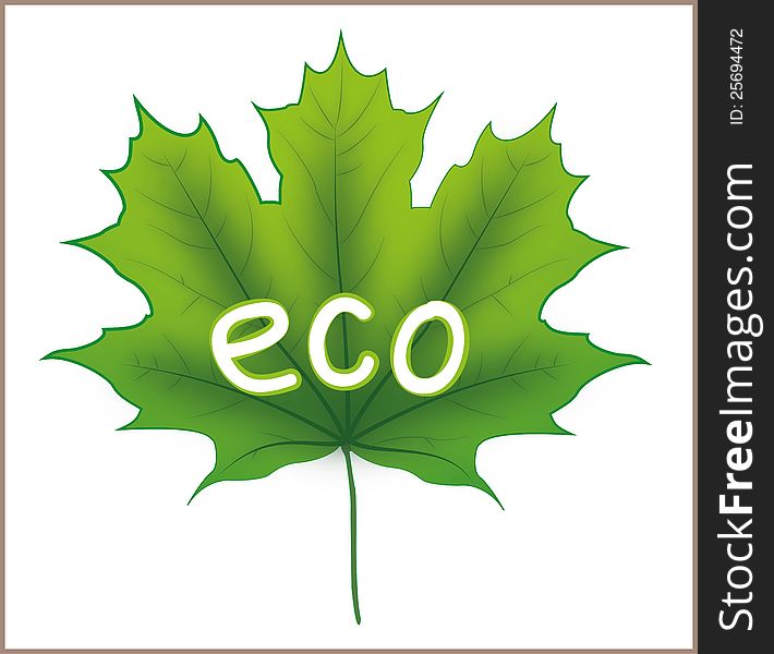 Green Maple Leaf with eco sign, perfect for u r pro-eco products. Green Maple Leaf with eco sign, perfect for u r pro-eco products