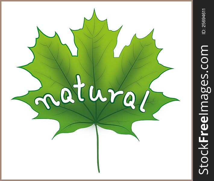 Green Maple Leaf with natural sign, perfect for u r pro-eco products. Green Maple Leaf with natural sign, perfect for u r pro-eco products