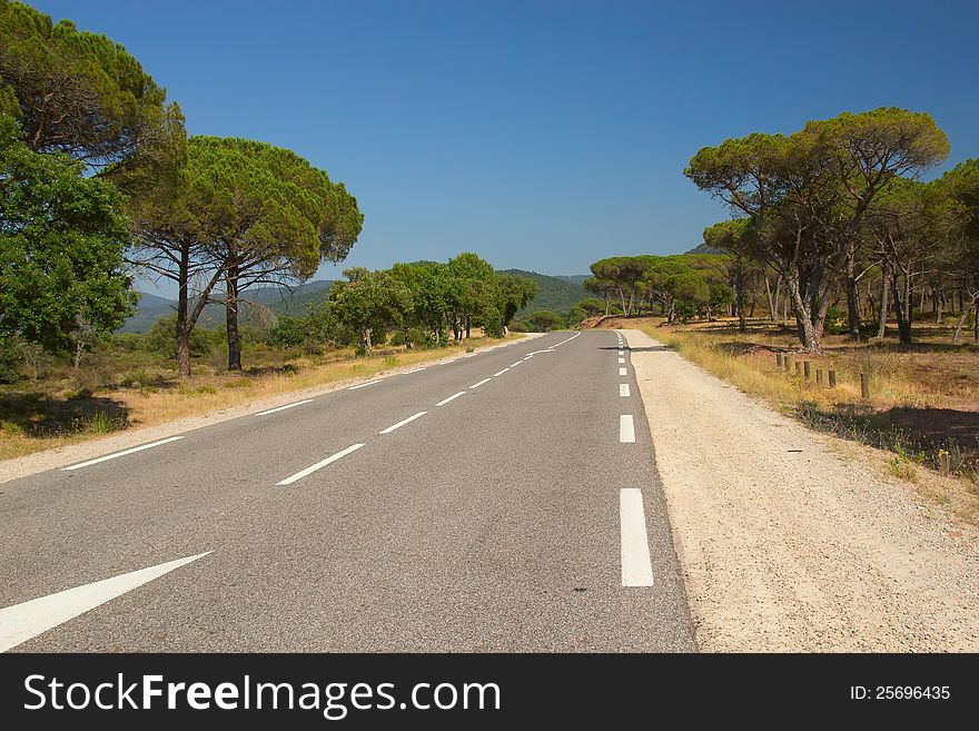 The asphalt road through the typical Mediterranean landscape. The road is lined with pine trees. (Provence, France). The asphalt road through the typical Mediterranean landscape. The road is lined with pine trees. (Provence, France)