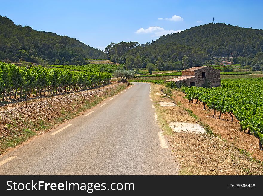 The road through the vineyards. The stone house on the roadside. (Provence, France)