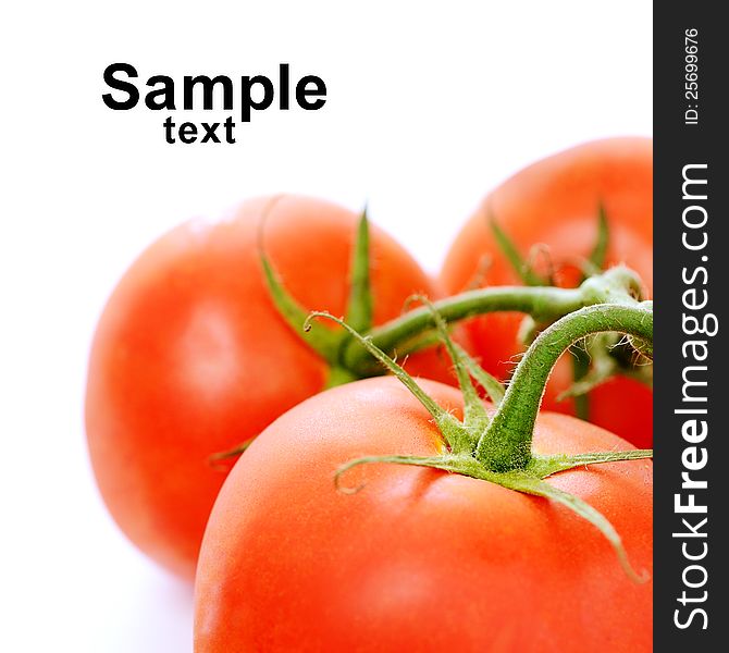 A branch with three tomatoes. on white. Extreme close-up