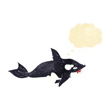 Cartoon Killer Whale With Thought Bubble Royalty Free Stock Image