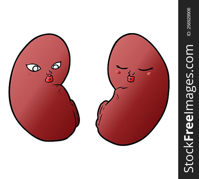 cartoon kidneys. cartoon kidneys