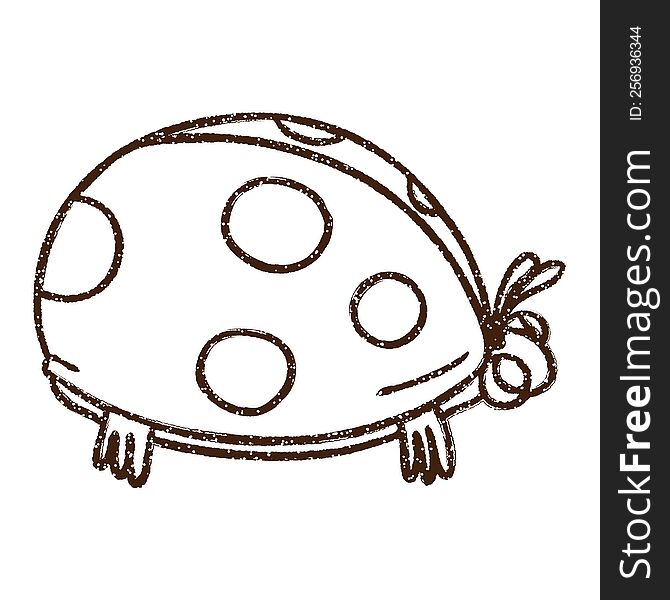 Ladybug Charcoal Drawing