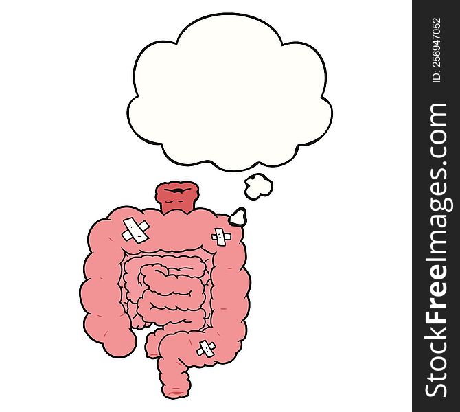 cartoon repaired intestines with thought bubble