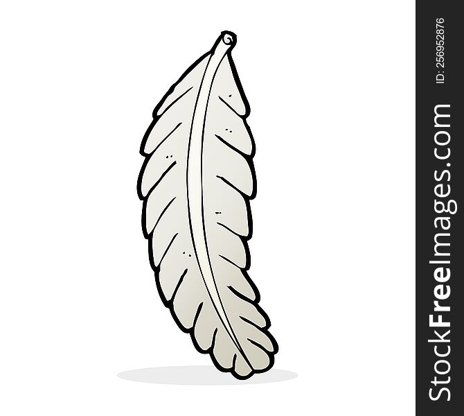 cartoon feather