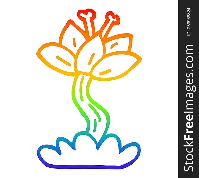 Rainbow Gradient Line Drawing Cartoon Lilly Flower