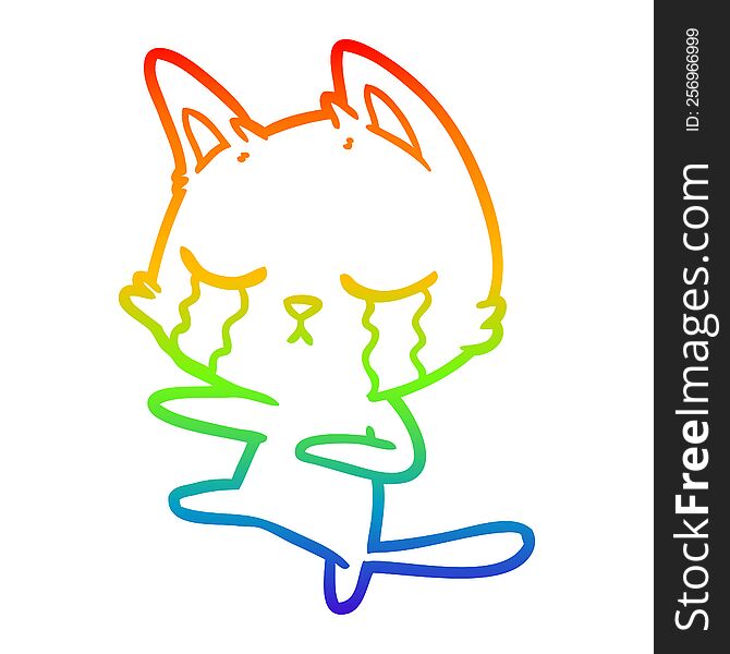 rainbow gradient line drawing of a crying cartoon cat dancing