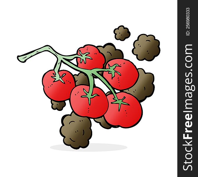 Green Tomatoes On Vine Illustration