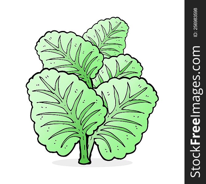 cartoon cabbage leaves