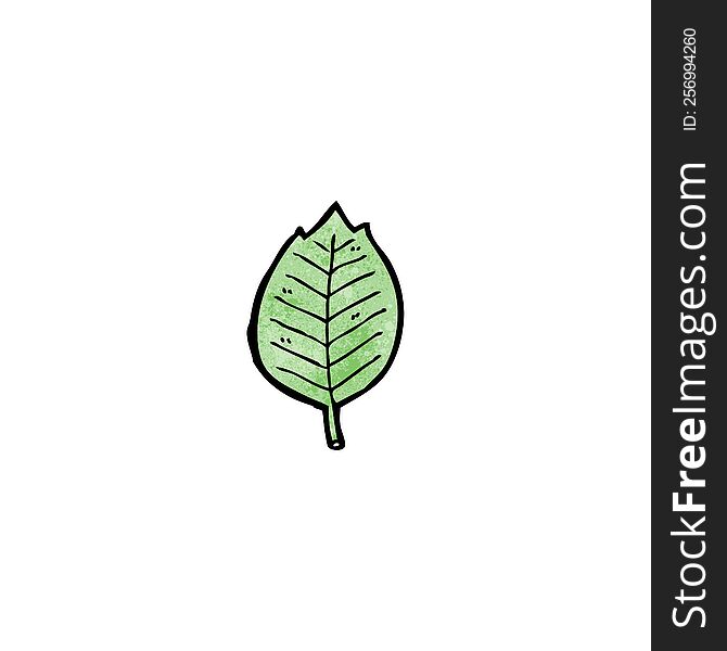 cartoon leaf