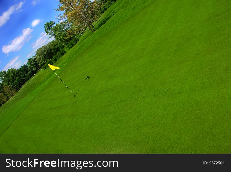 Green grass on the green