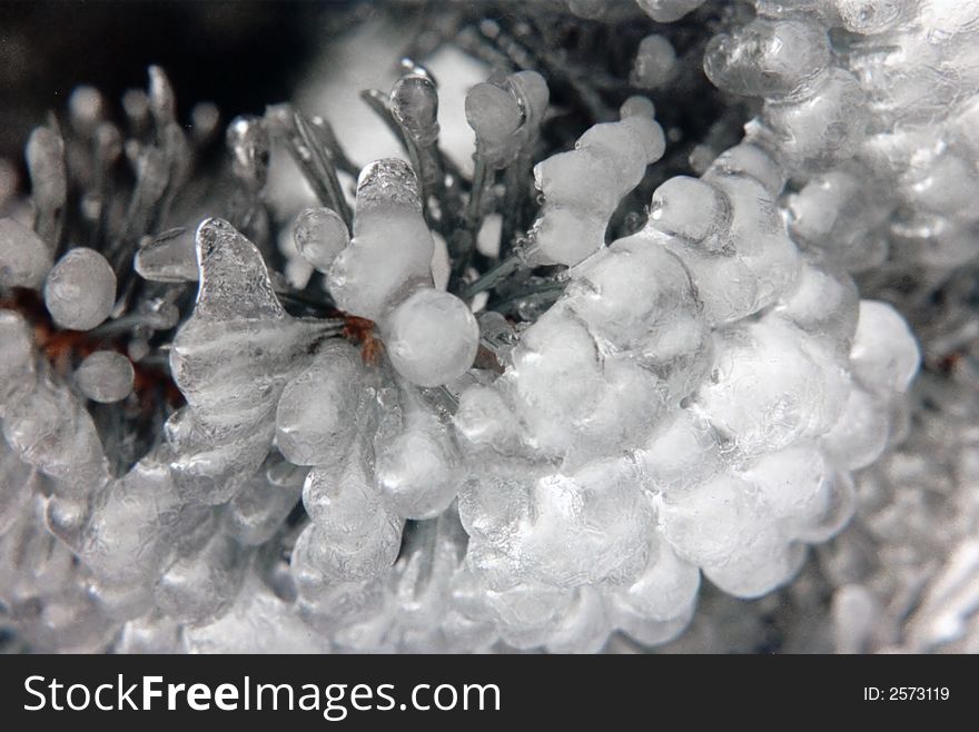 Bulbous ice forms on evergreen tree resembling glass.