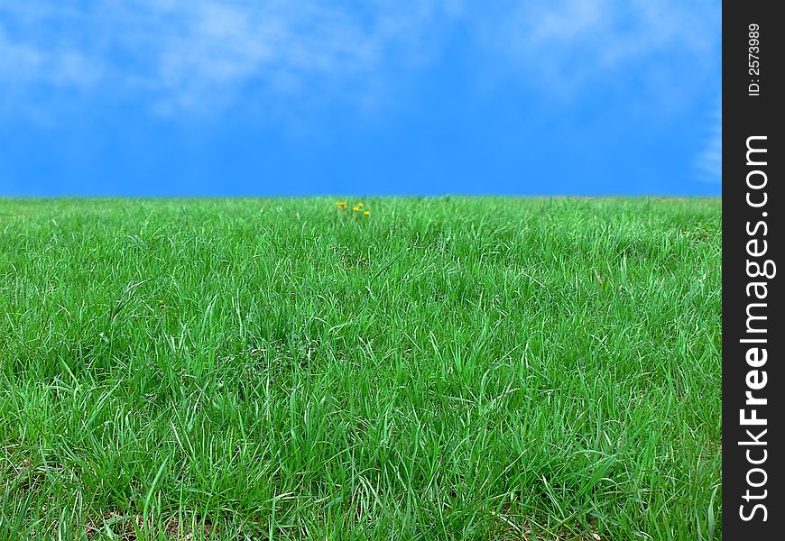 Photo Of A Green Grass