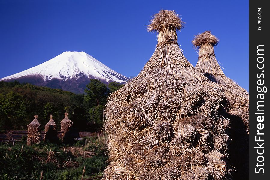 Traditional bales of rice with Mount Fuji