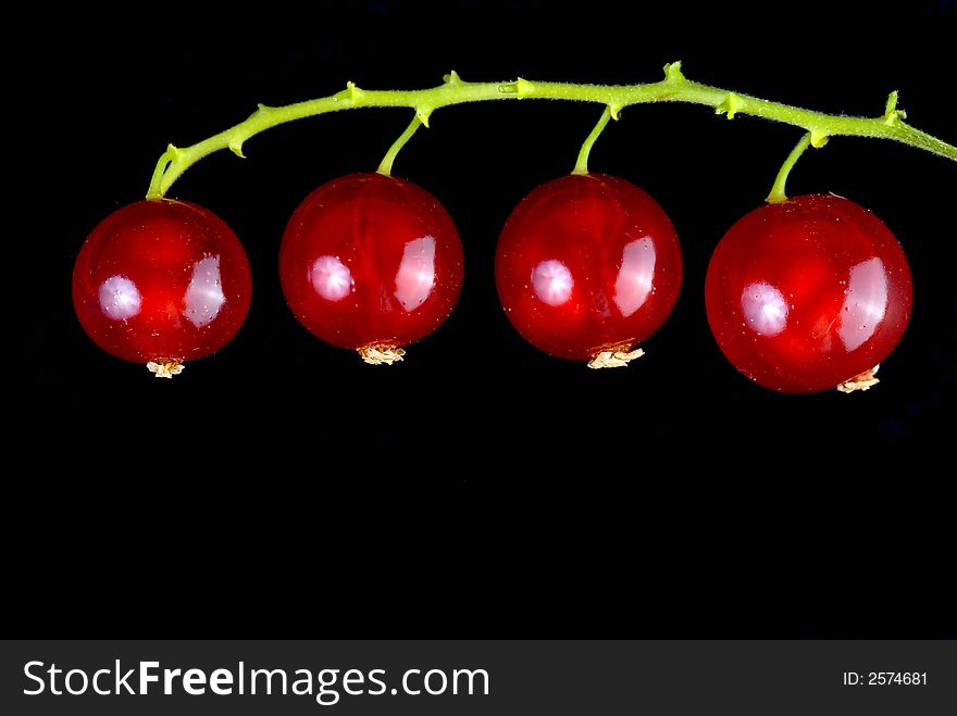 Juniperberries